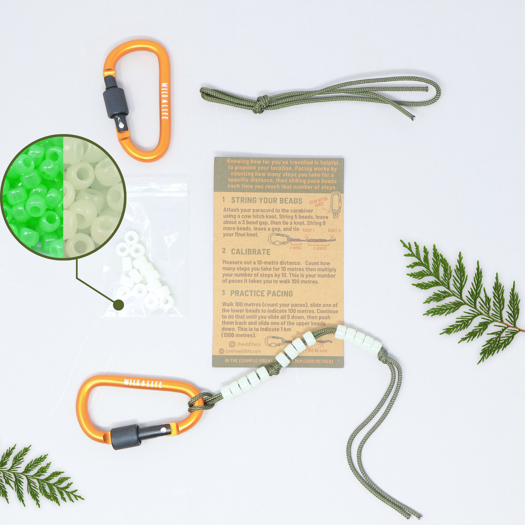 Ranger Bead Pace Counter DIY Craft Kit