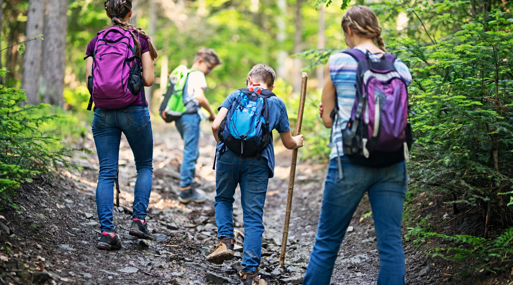 Family-Friendly Trail Adventures: Celebrating National Trails Week