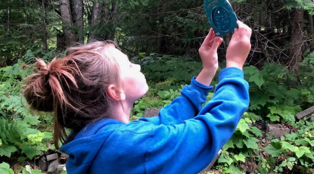 Backyard Stargazing for Beginners (and Their Giggle-Prone Kids)