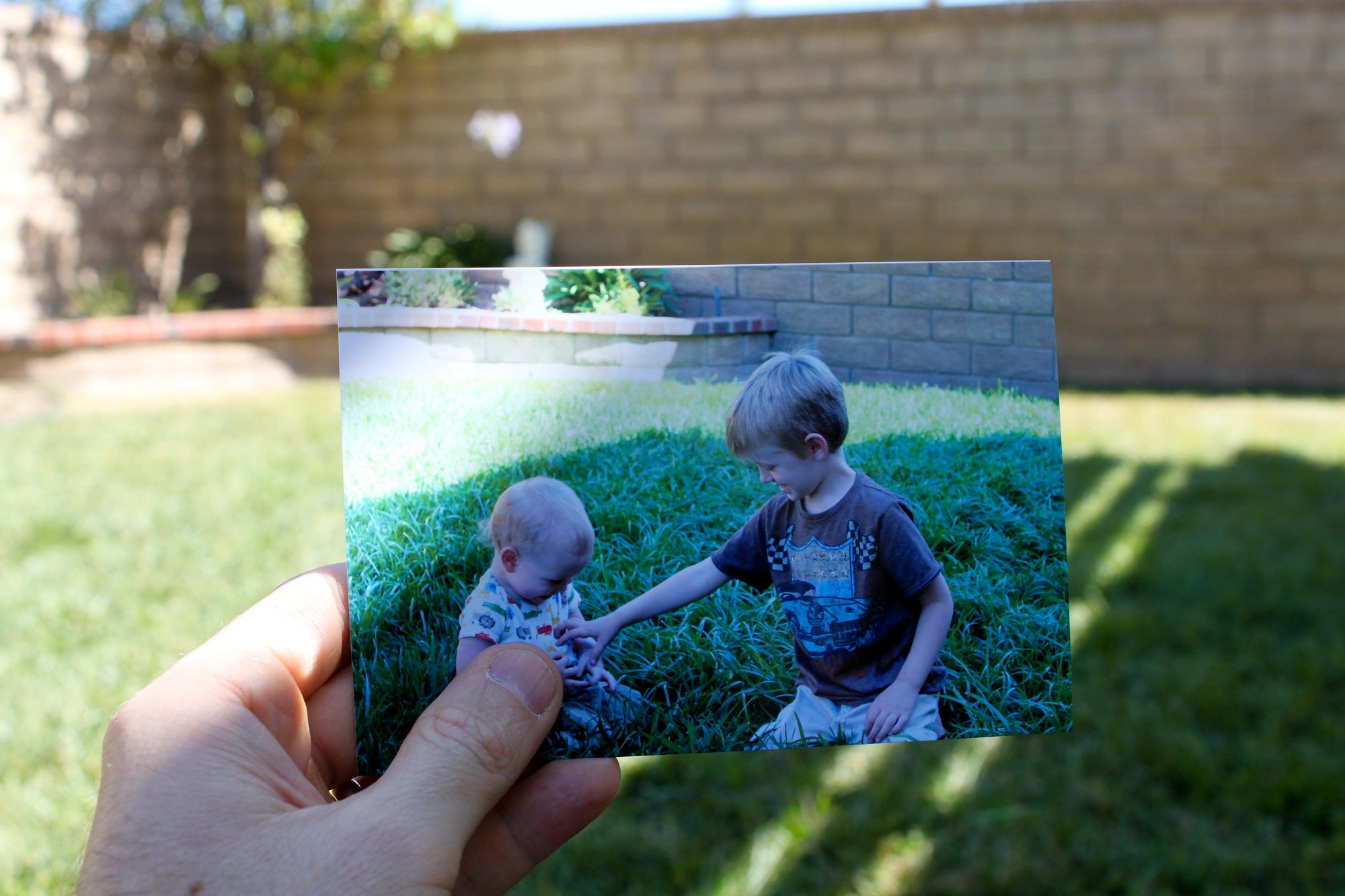 Backyard Memories