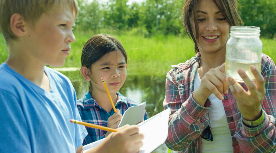 Nature Classroom: Unlocking Outdoor Wisdom