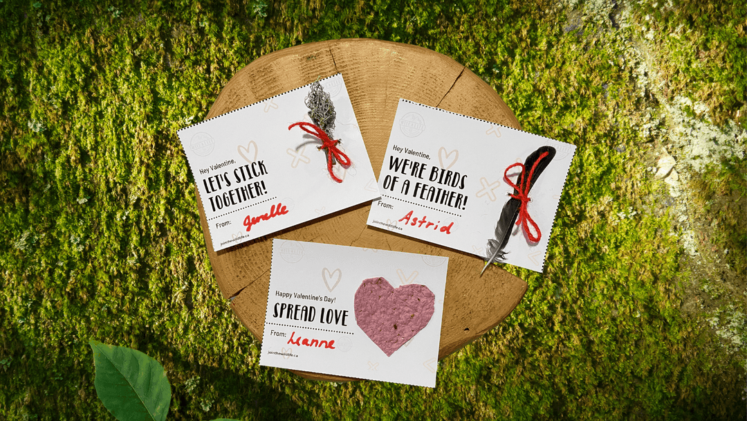 The Best Nature Craft for Kids Valentines - Wild | Life Outdoor Adventures