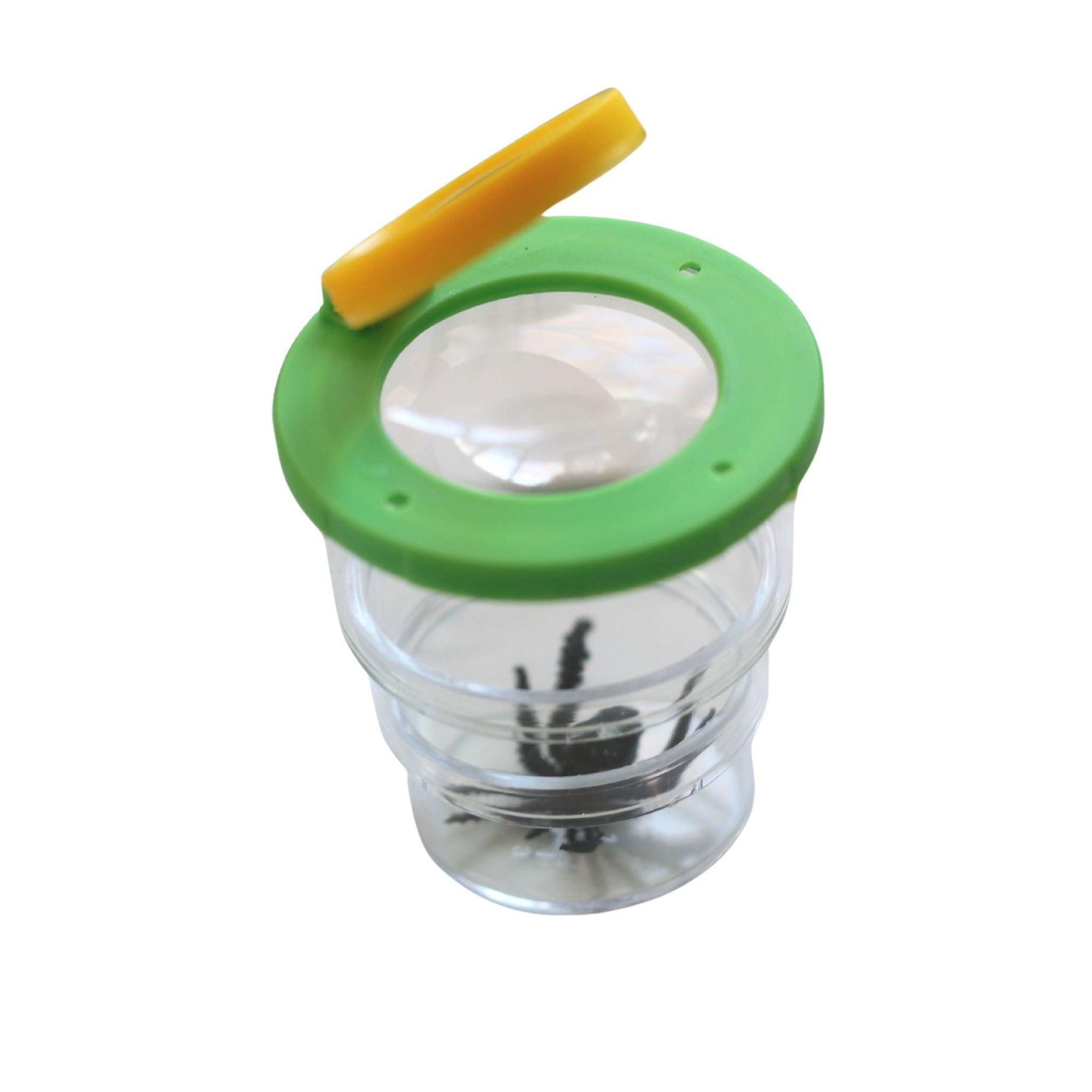 10 OBS Observation Jar - Wild | Life Outdoor Adventures