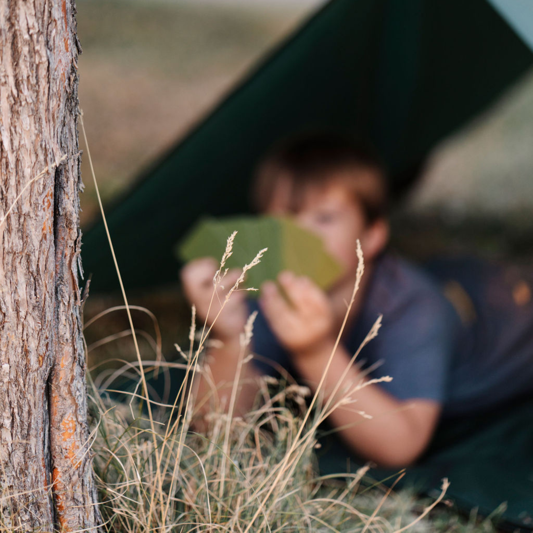 Take Cover 4 in 1 Card Deck