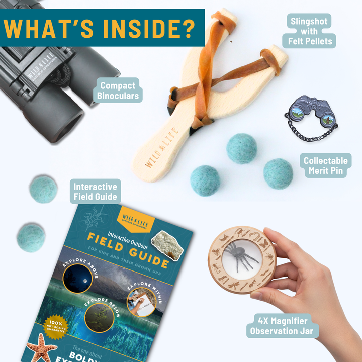 Bold Explorer Outdoor Adventure Kit