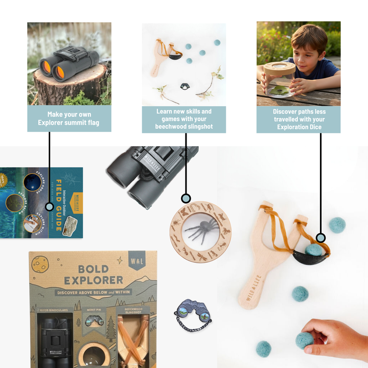 Bold Explorer Outdoor Adventure Kit