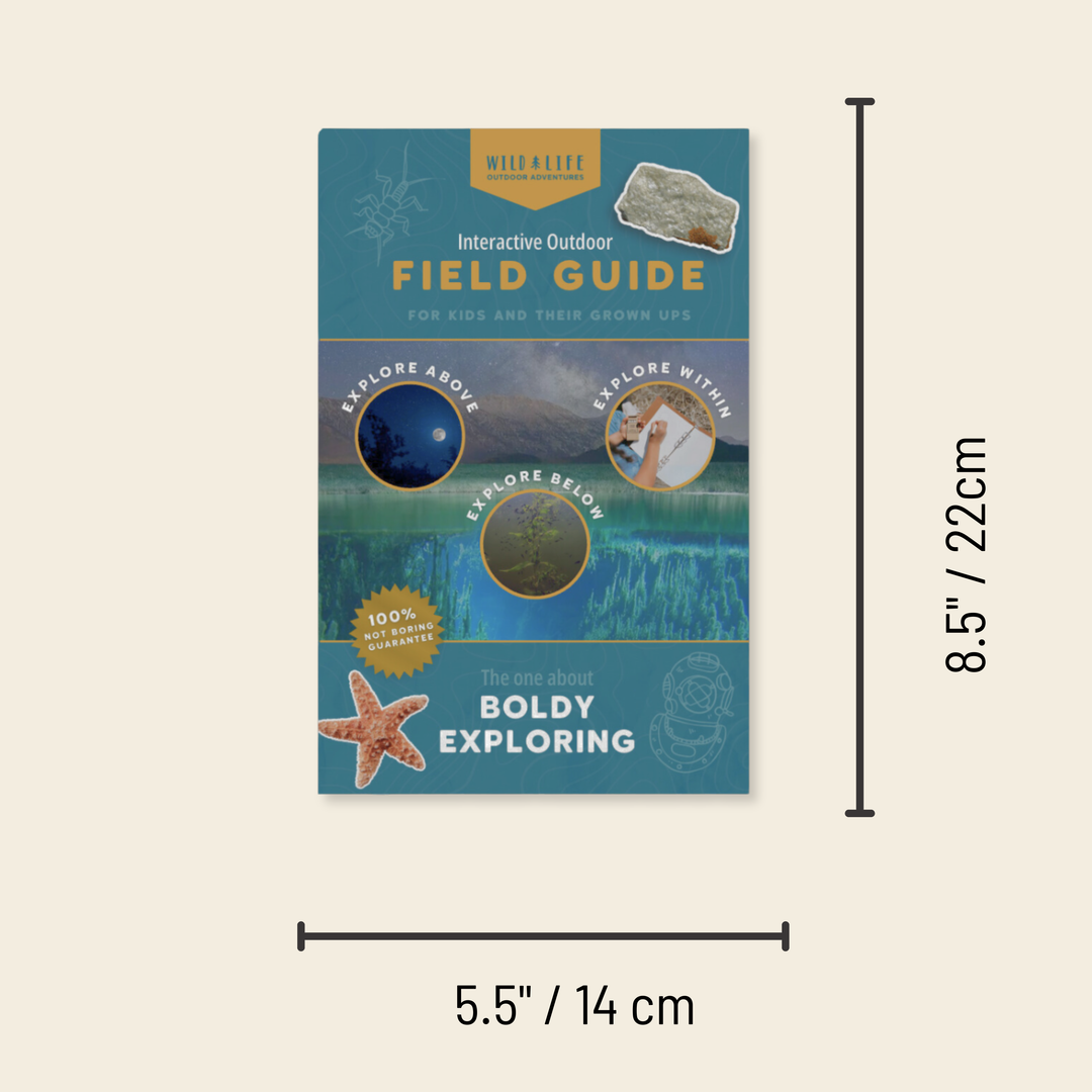 Bold Explorer Outdoor Adventure Kit