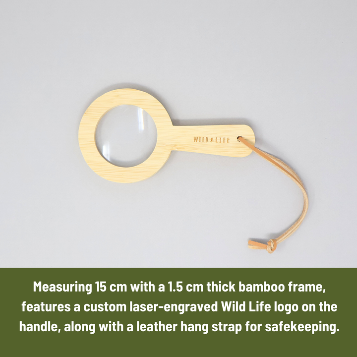 EYE SPY Eco-Bamboo 5x Magnifying Glass