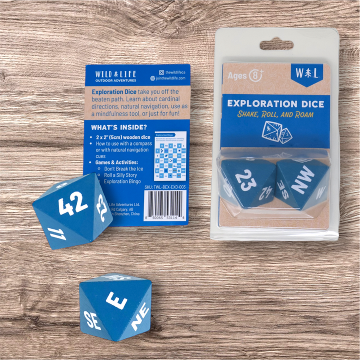 Outdoor Exploration Dice Game