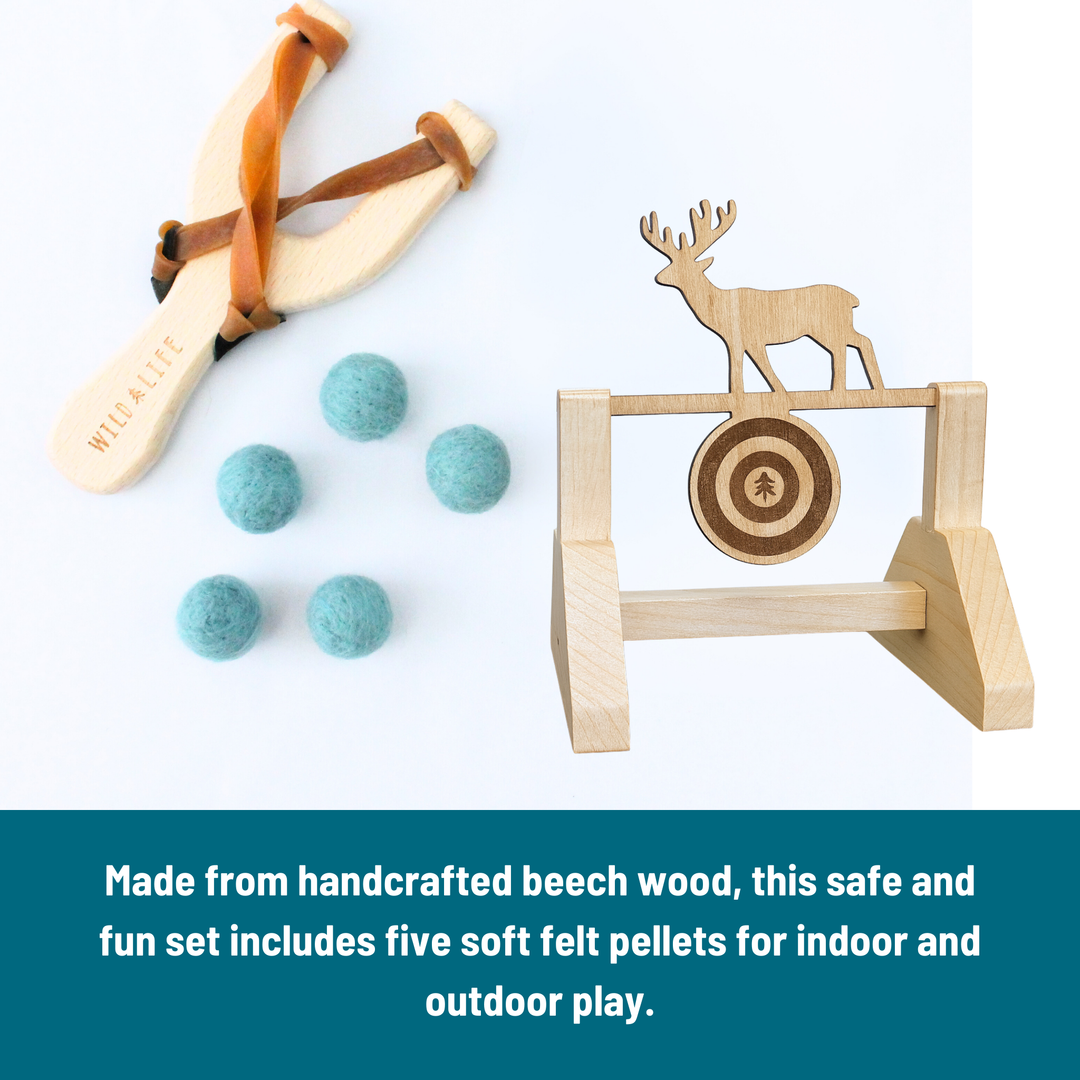 Take Aim - Slingshot + Spinning Target