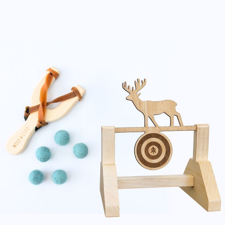 Take Aim - Slingshot + Spinning Target