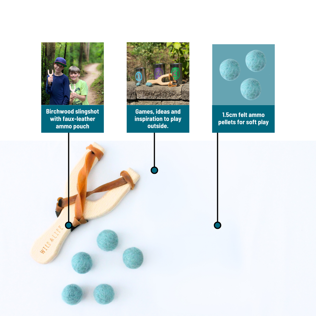 Take Aim - Slingshot + Spinning Target