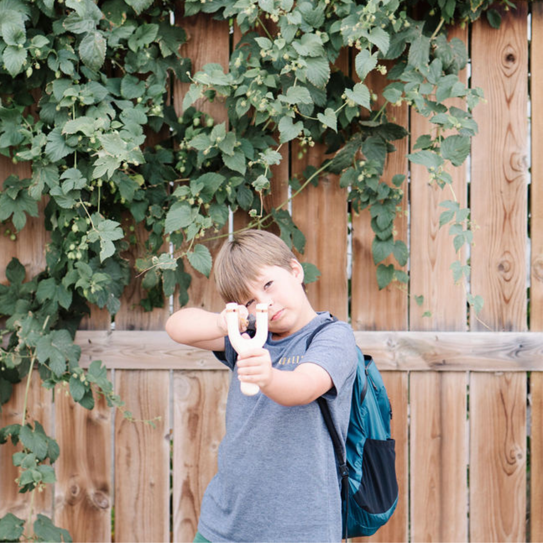 Take Aim - Slingshot + Spinning Target