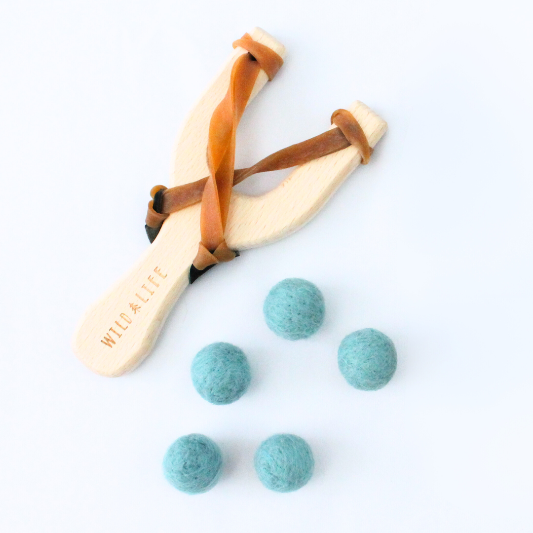 Take Aim - Slingshot + Spinning Target