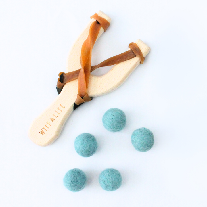 Take Aim - Slingshot + Spinning Target