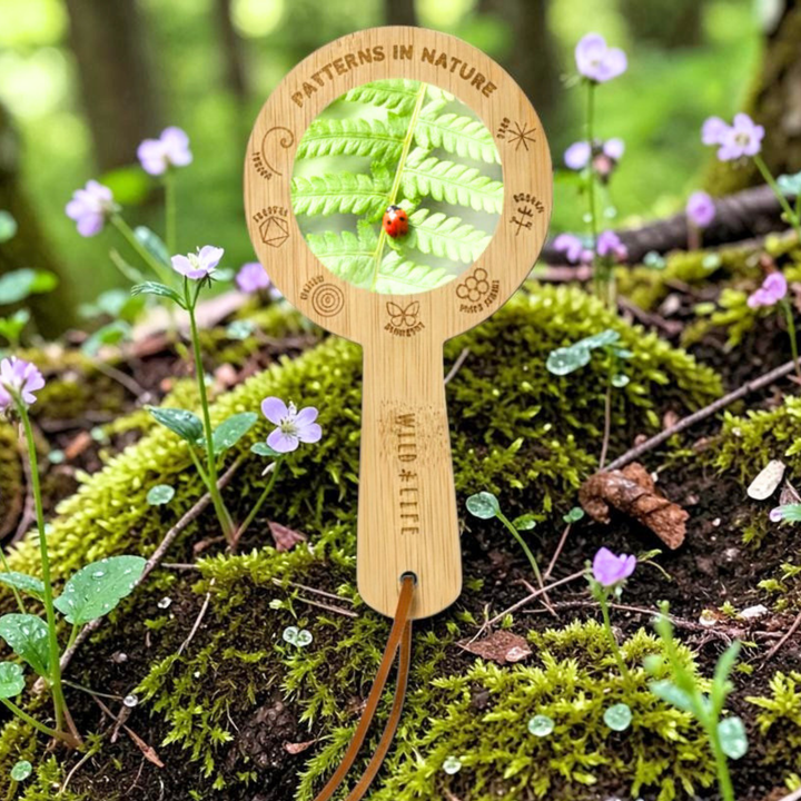 EYE SPY Eco-Bamboo 5x Magnifying Glass