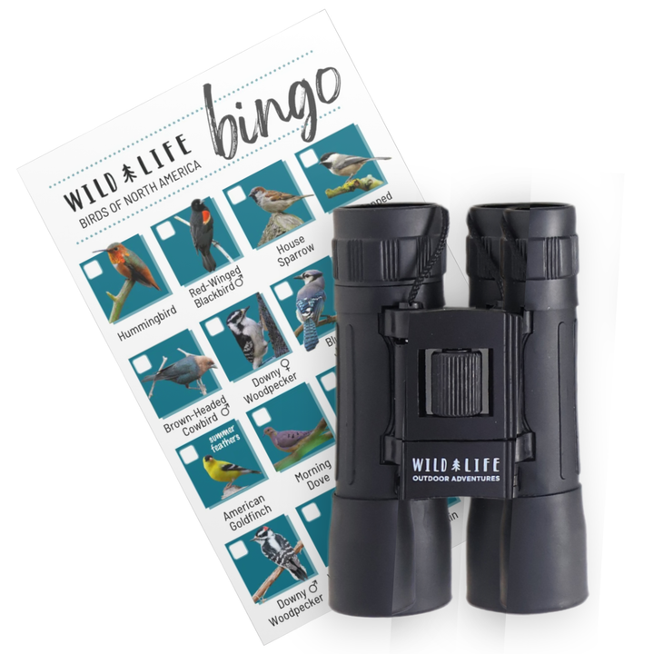 Compact Binoculars 10 x 25