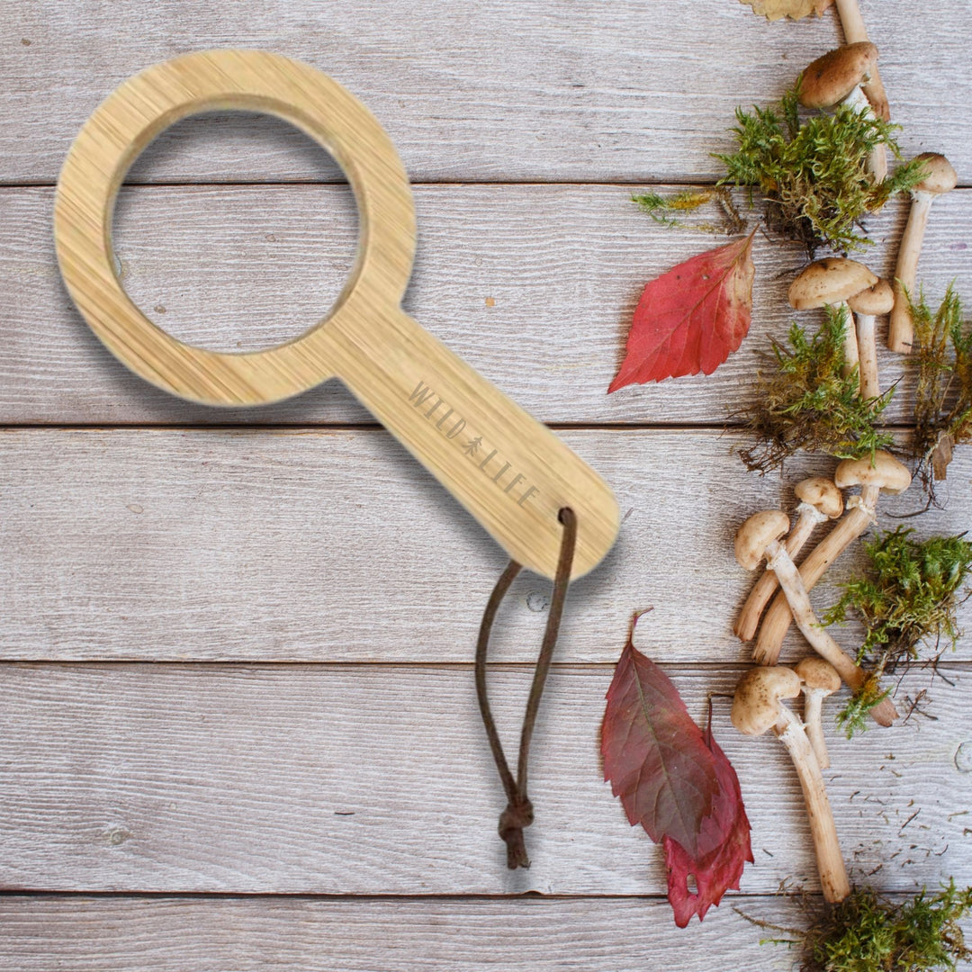 EYE SPY Eco-Bamboo 5x Magnifying Glass